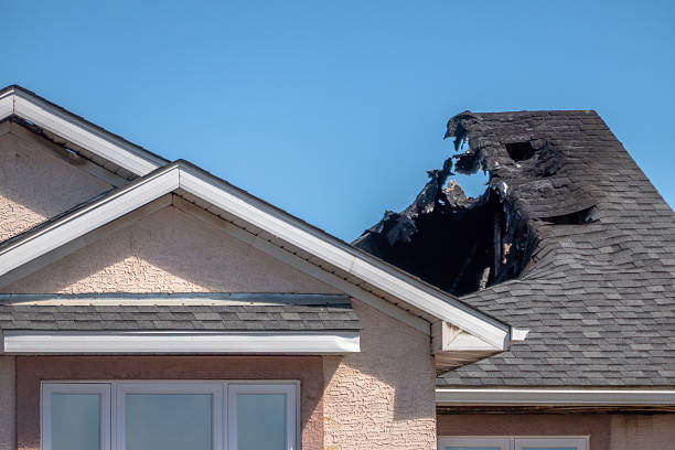 Top rated local Odor Removal specialists in Ellicott City, MD